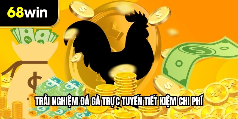 Trải nghiệm đá gà trực tuyến tiết kiệm chi phí